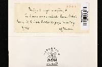 Bulgaria inquinans image