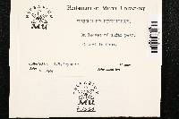 Venturia inaequalis image