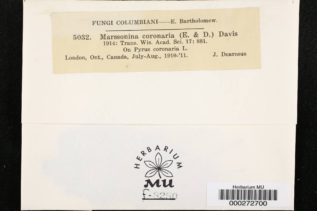Marssonina coronaria image