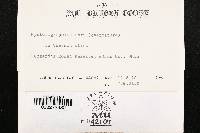 Hysterographium mori image
