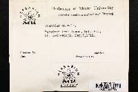 Image of Saccharomyces membranifaciens