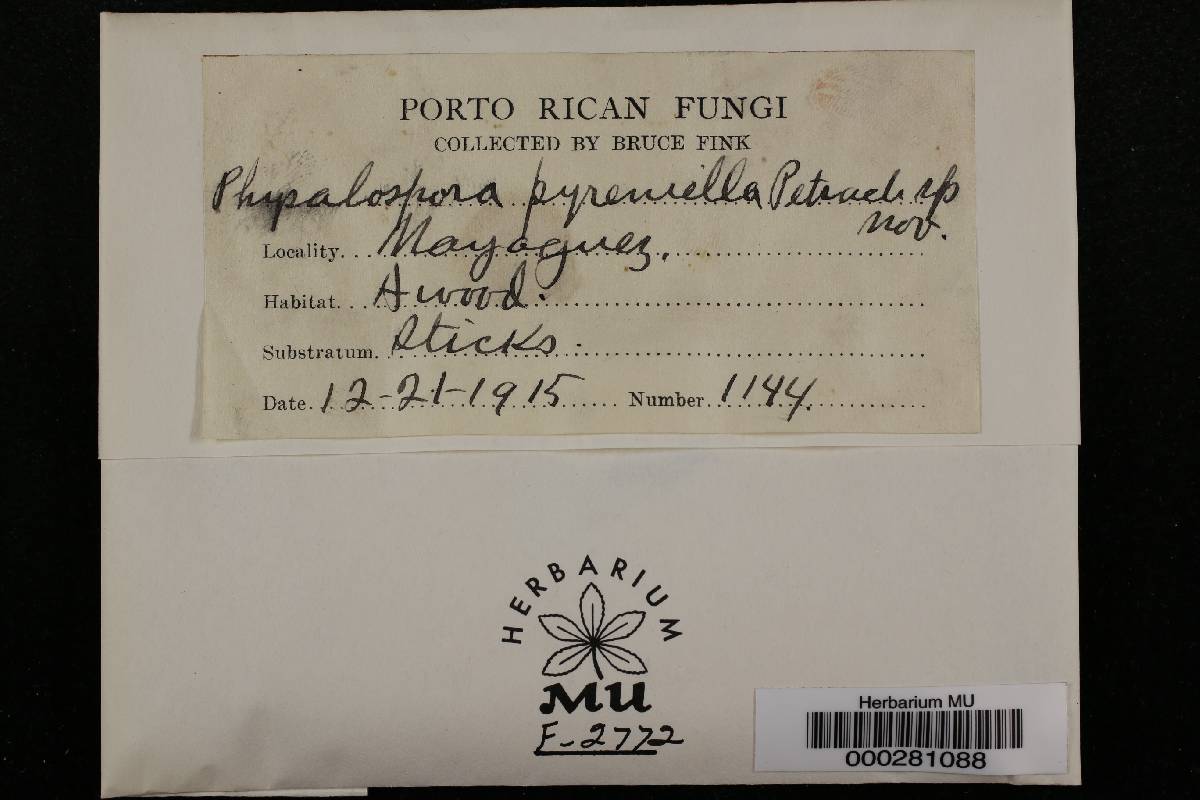 Physalospora pyreniella image