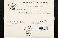 Chaetomium indicum image