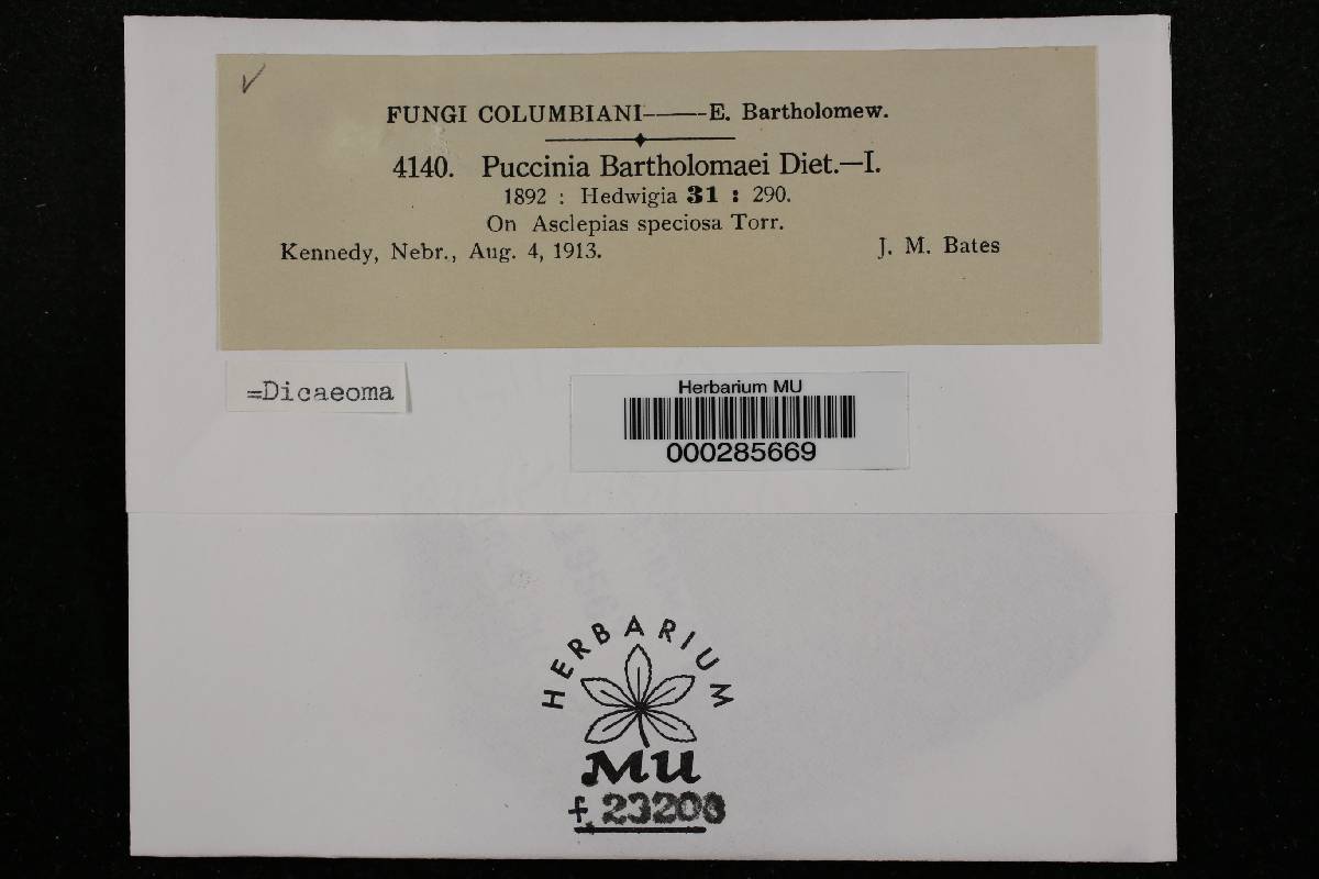 Puccinia bartholomaei image