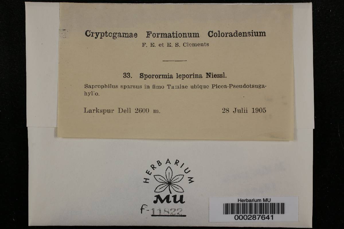 Sporormia leporina image