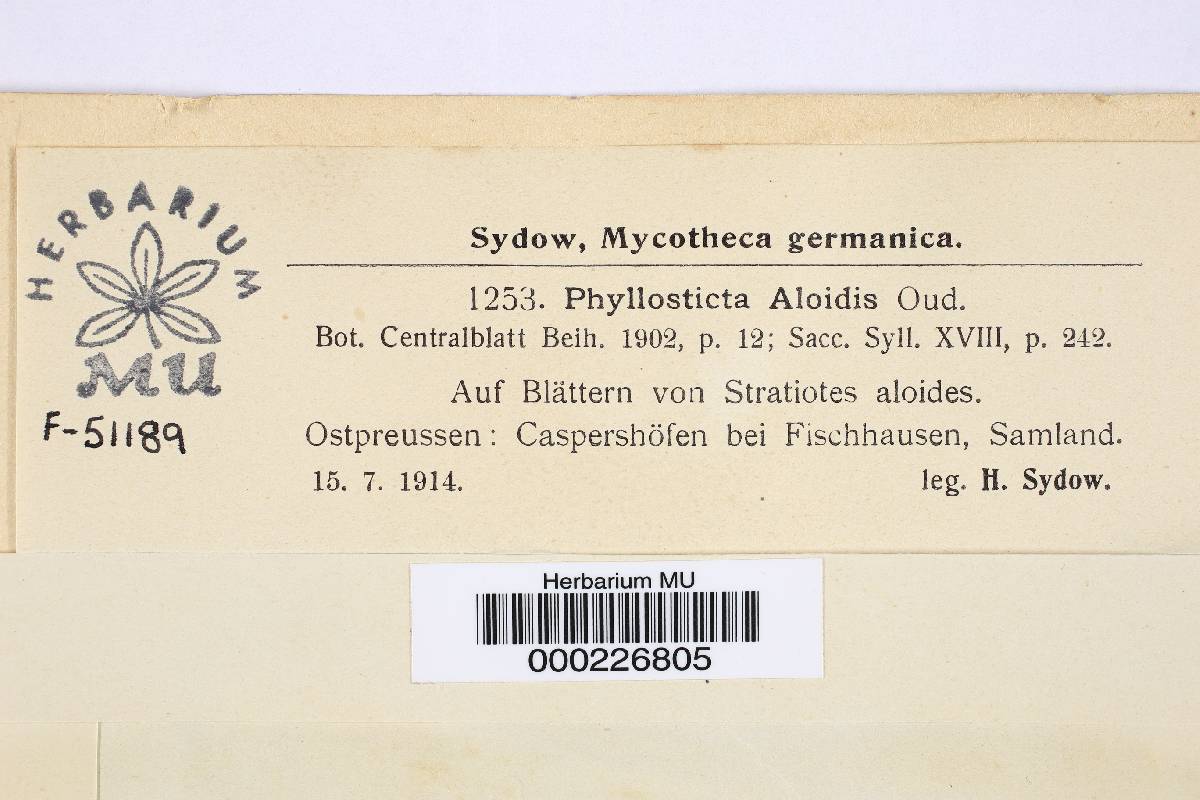 Phyllosticta aloidis image