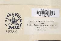 Valsa myinda image
