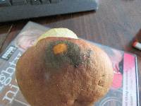 Boletus pseudopinophilus image