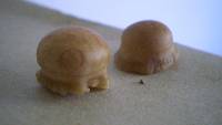 Marasmius oreades image