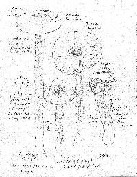 Limacella delicata var. glioderma image