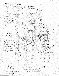 Limacella delicata var. glioderma image