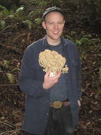 Ramaria rubrievanescens image