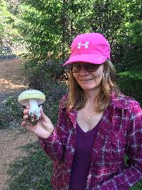 Amanita vernicoccora image