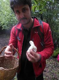 Russula violeipes image