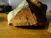 Pyrofomes juniperinus image