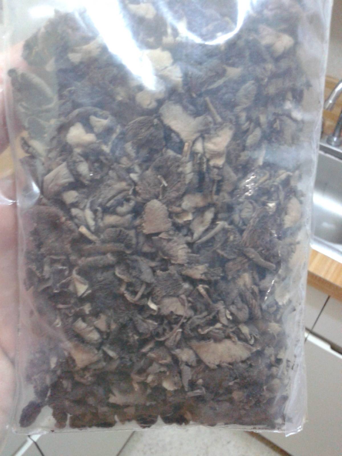 Psathyrella cacao image