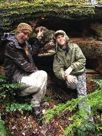 Fomitopsis officinalis image