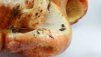 Suillus caerulescens image