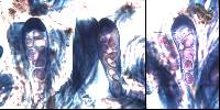 Tephromela atra var. atra image
