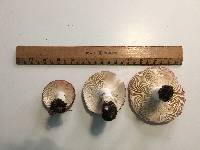 Russula pulchra image