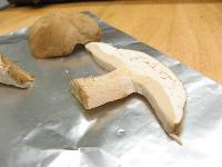 Boletus variipes image