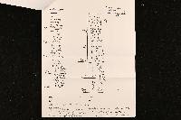 Tremella subanomala image