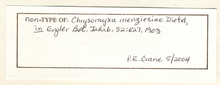 Chrysomyxa menziesiae image
