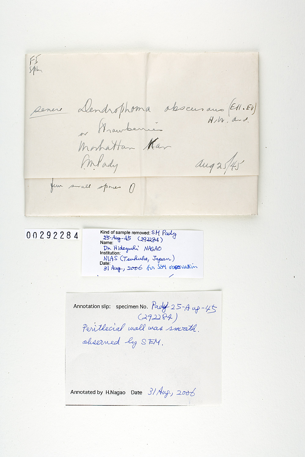Phomopsis obscurans image