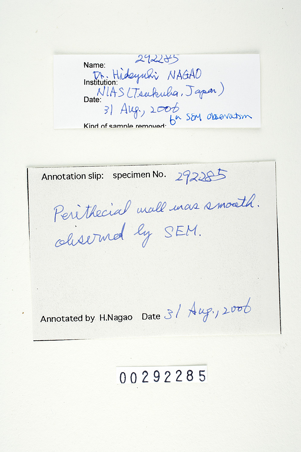 Phomopsis obscurans image