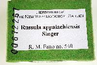 Russula appalachiensis image
