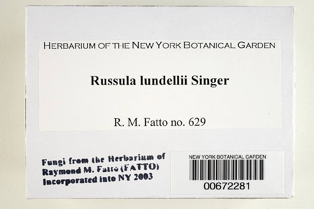 Russula lundellii image