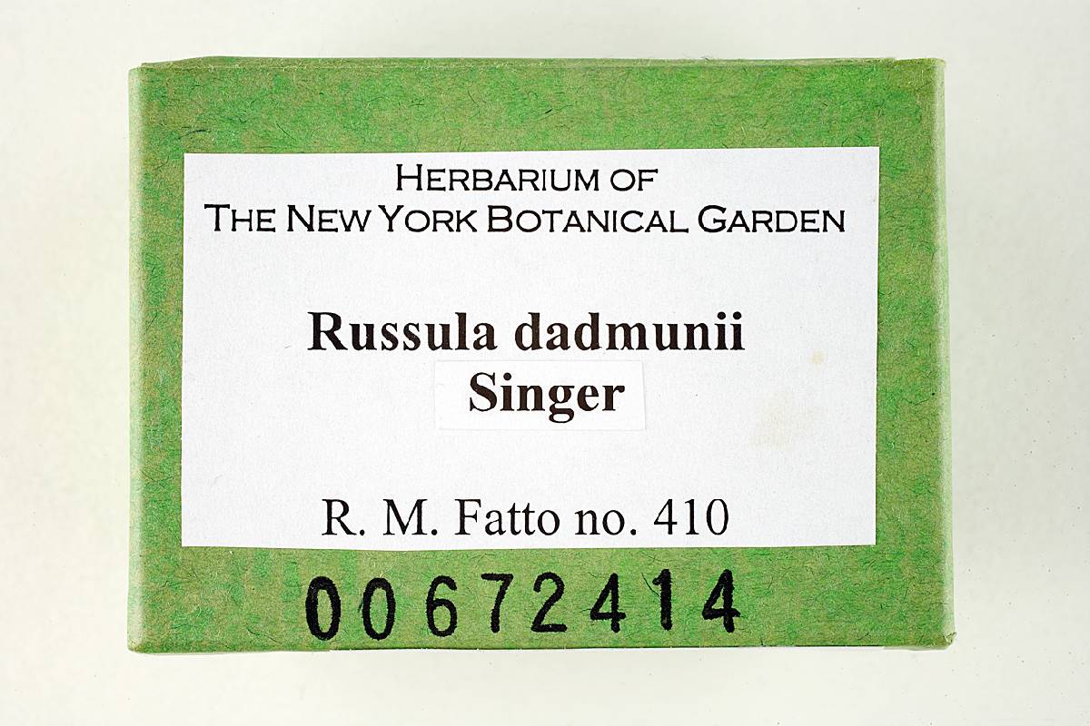 Russula dadmunii image