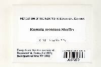 Russula montana image