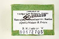Russula xerampelina image