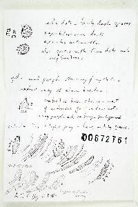 Russula font-queri image