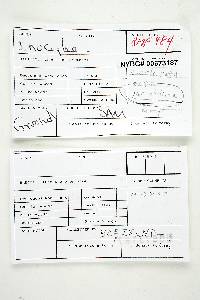 Inocybe variabillima image