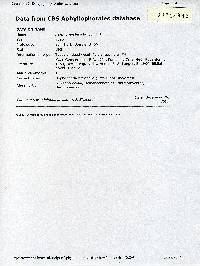 Fibrodontia brevidens image