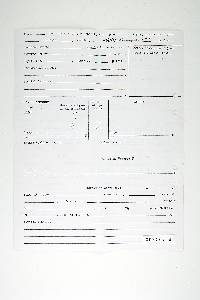 Trichaptum byssogenum image