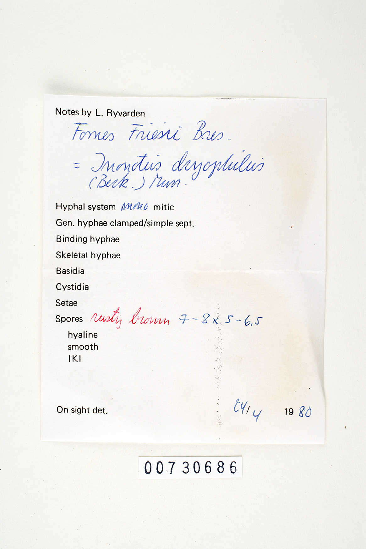 Inocutis dryophila image