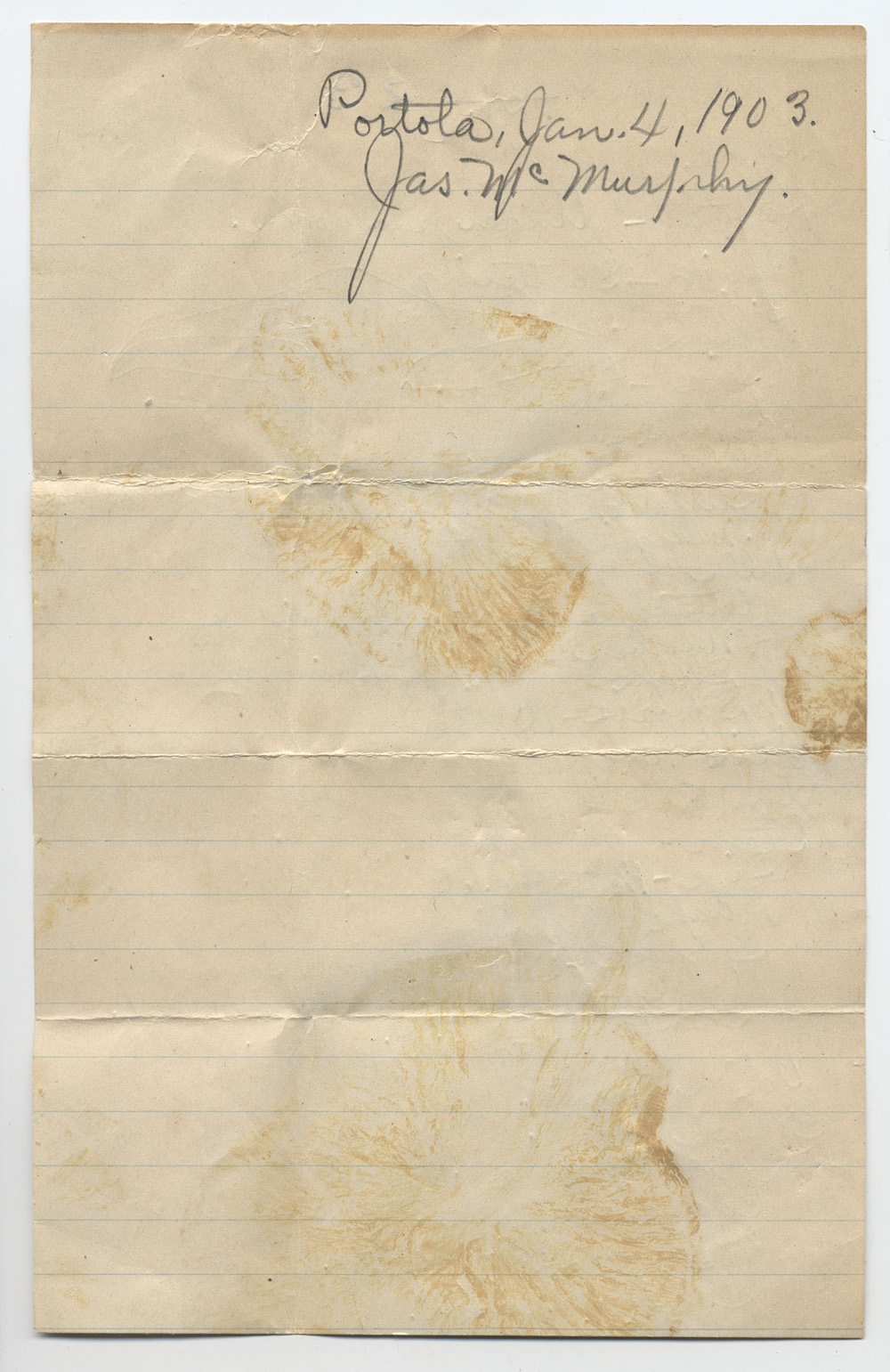 Melanoleuca portolensis image