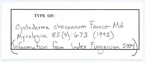 Cystoderma chocoanum image