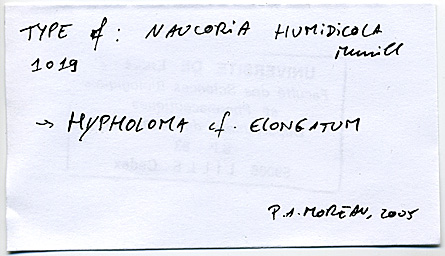 Naucoria humidicola image