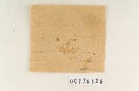Sarcodon underwoodii image