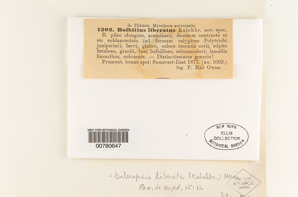 Galeropsis liberata image