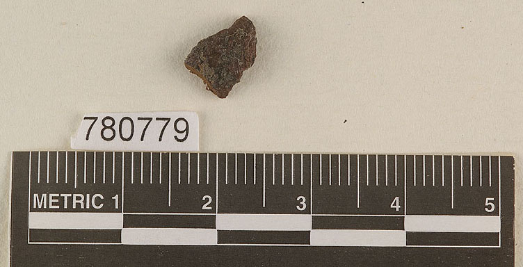 Protoglossum luteum image