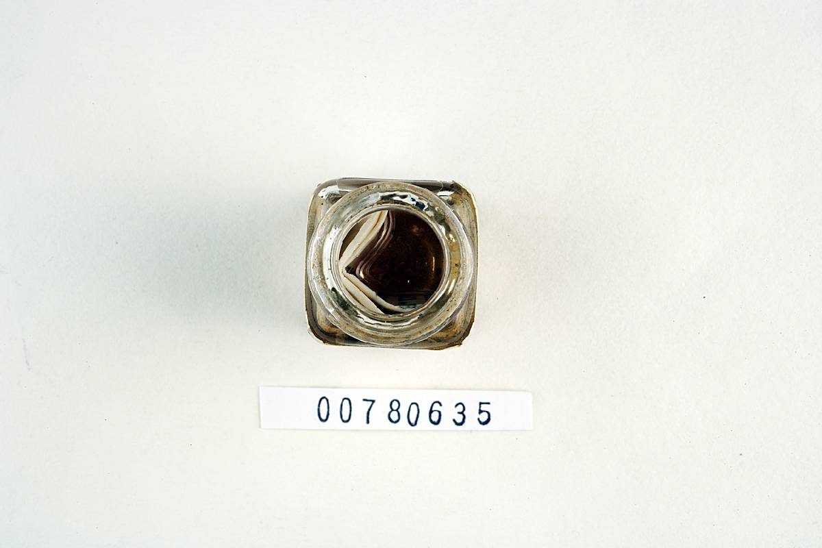 Gasterellopsis image