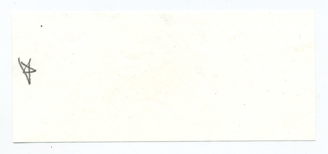Rhizopogon sepelibilis image