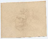 Hebeloma cremeum image