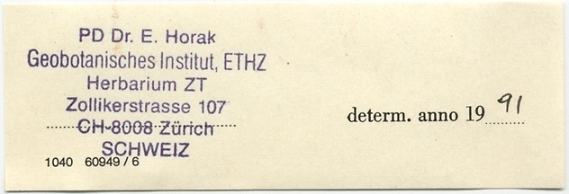 Entoloma fumosialbum image