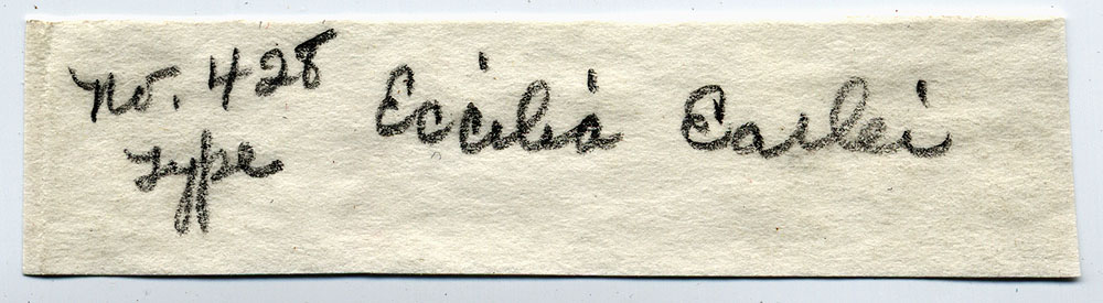 Eccilia earlei image
